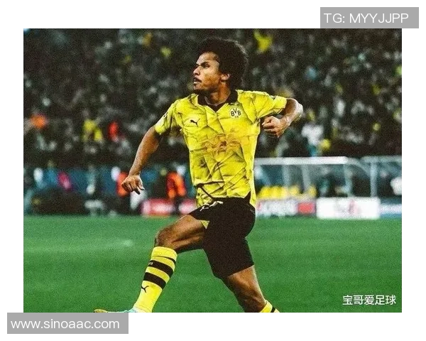 球队身价德甲排名：德甲各球队的市场身价排名分析