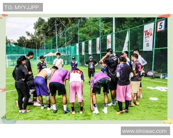 飞盘团队协作新高峰杭州飞盘队展现卓越实力与团队精神