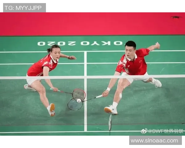 与刘娜畅谈排球生涯的辉煌与挑战之路