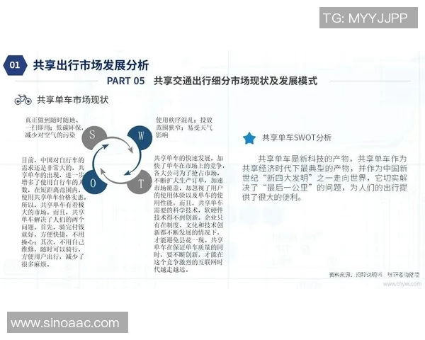 上海极限运动队状态全景解析及各队表现对比分析 上海极限运动队状态全景解析及各队表现对比分析